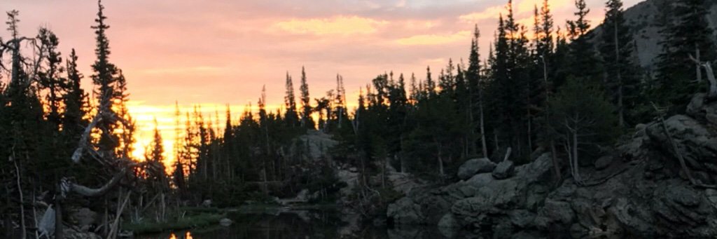 Colleen MacDonald banner