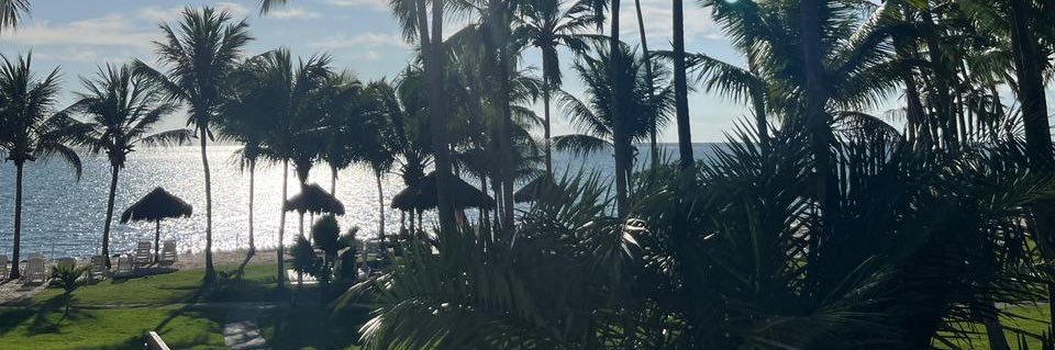 marelizals's profile banner image