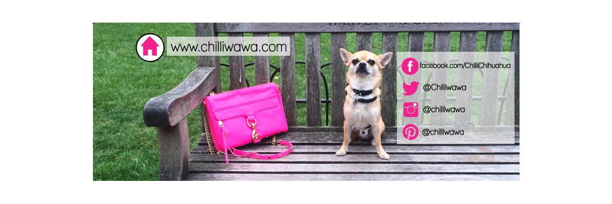 Chilliwawa's profile banner image
