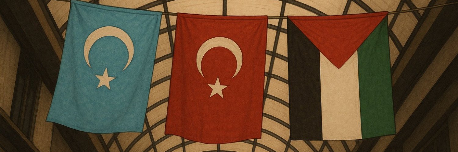 busraagnydn's profile banner image