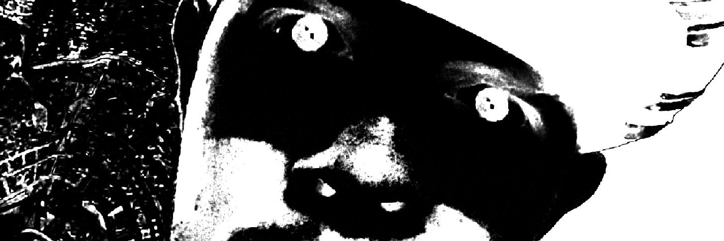 DJRHoR's profile banner image