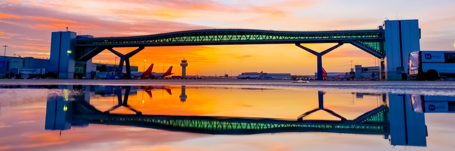 Lukey (Blue Tick) ✈️ 🎬 banner