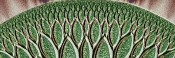 NielsMayer Profile Banner