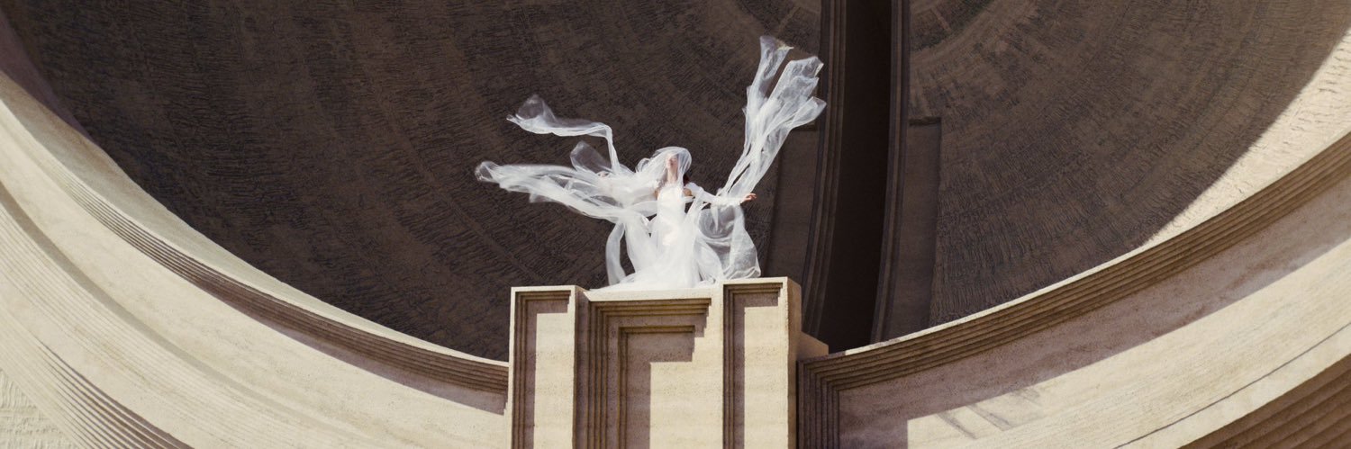 paul baldtreides banner