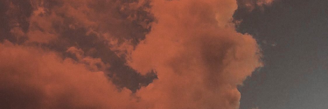 Brandon 🦦 banner