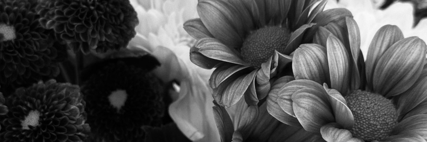 nirvanagirl1111's profile banner image