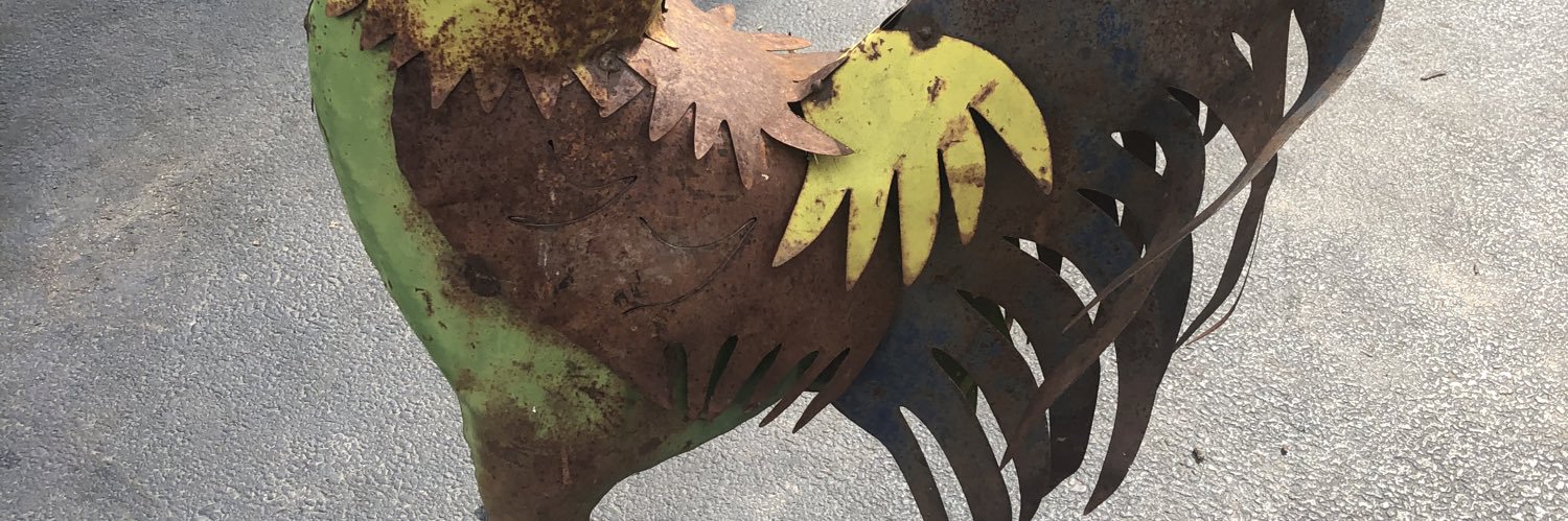 scott12375's profile banner image