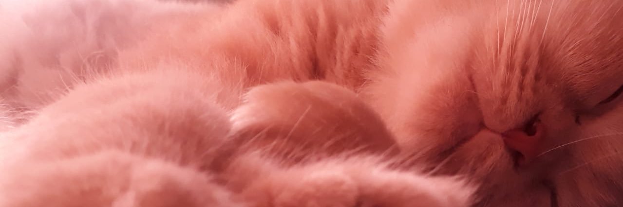 anavmcm's profile banner image