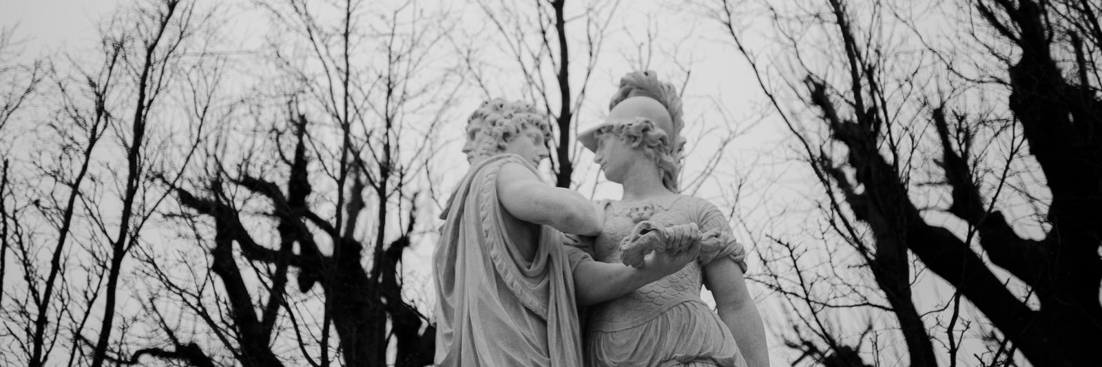Solveig_Photo's profile banner image
