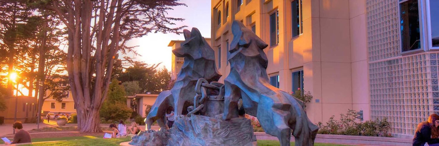 USF Gleeson Library banner