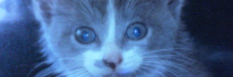 garryhannah2's profile banner image