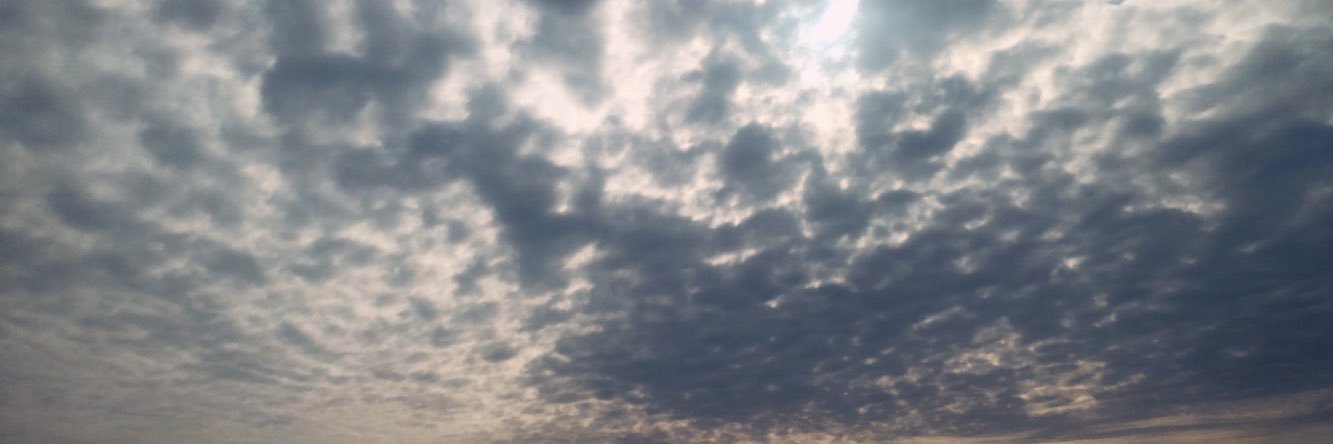 psychologistll's profile banner image