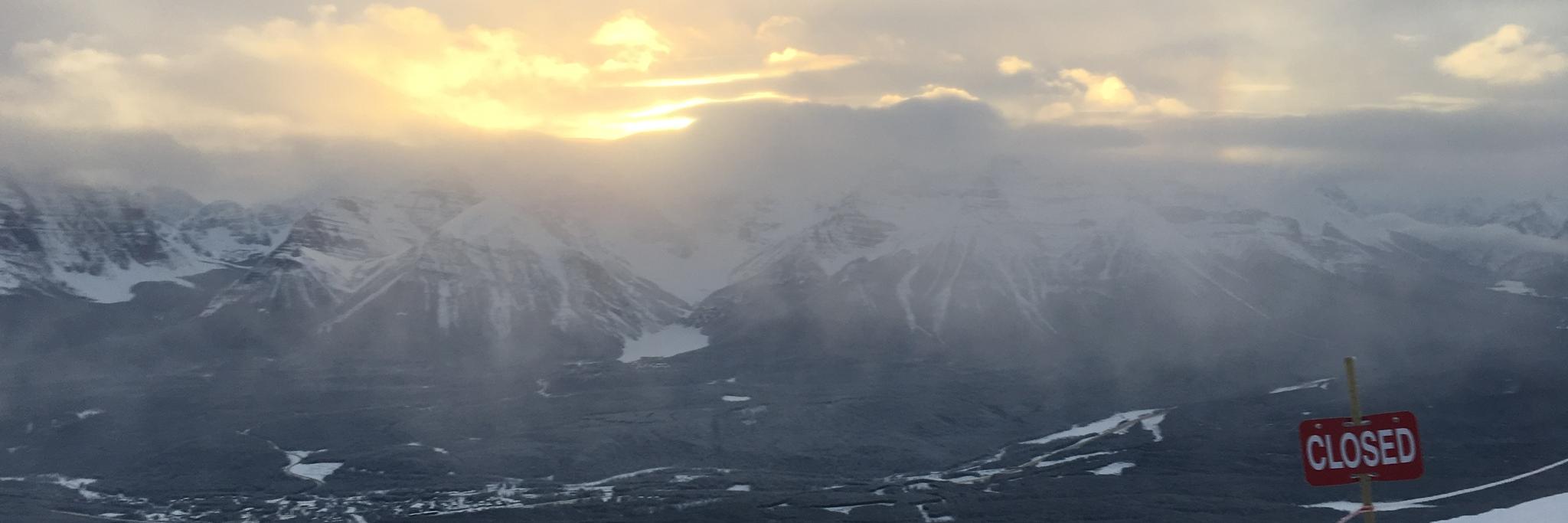 Daniel_Licht's profile banner image