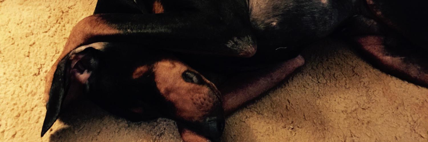 GretchWard's profile banner image