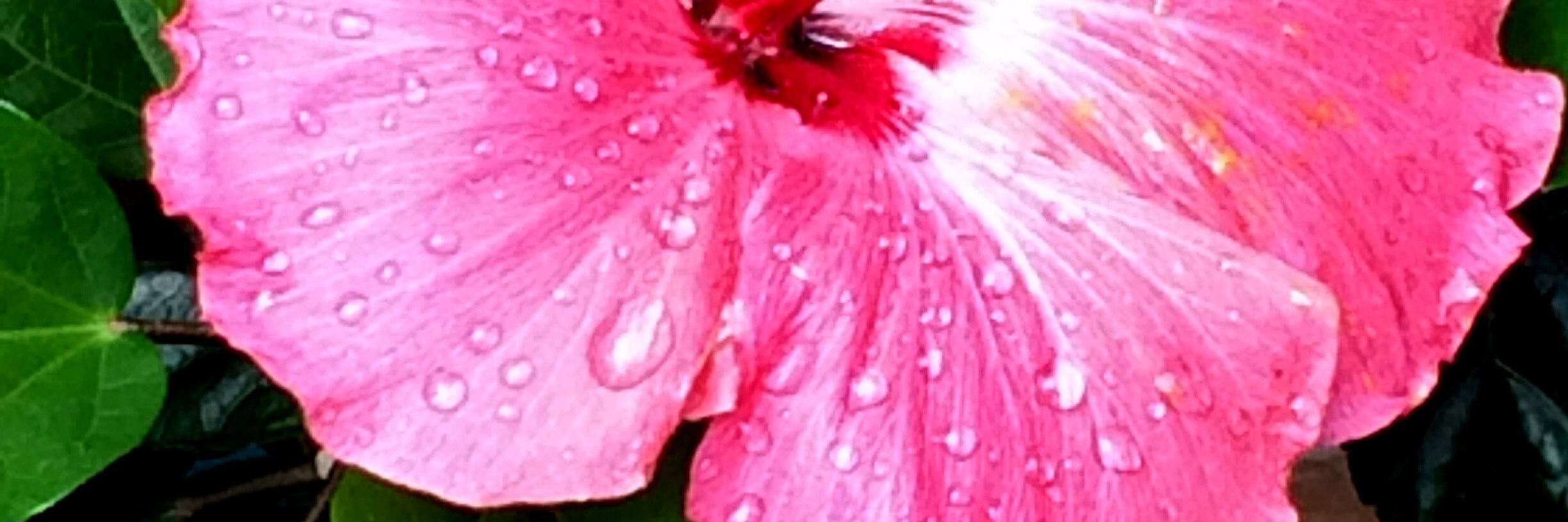 MMLNow's profile banner image