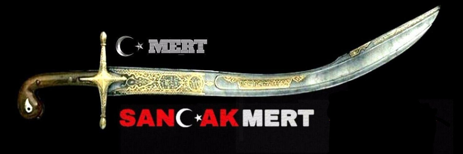 mert_s_'s profile banner image