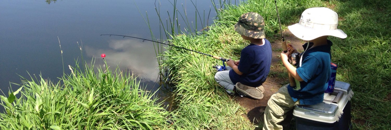 Mark Molinaro banner