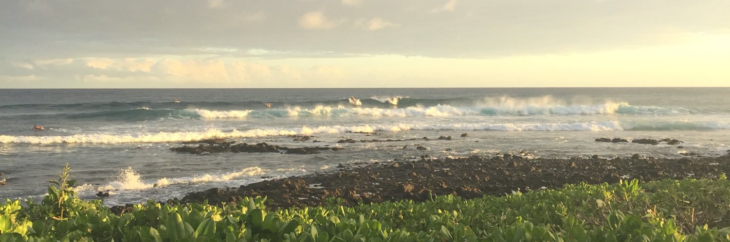 KimFeighner's profile banner image