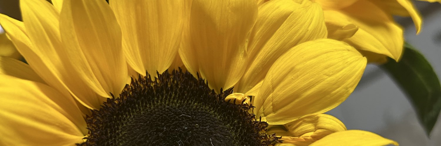 𝖽𝖾𝗇𝗂𝗌𝗌𝖾 banner
