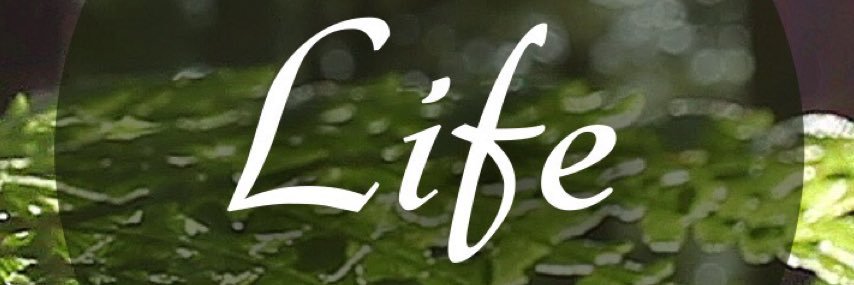HarryC225's profile banner image
