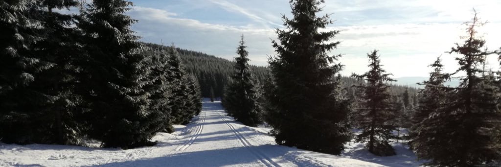Leniii2211's profile banner image