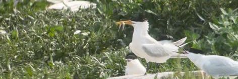 Andrew Warner banner