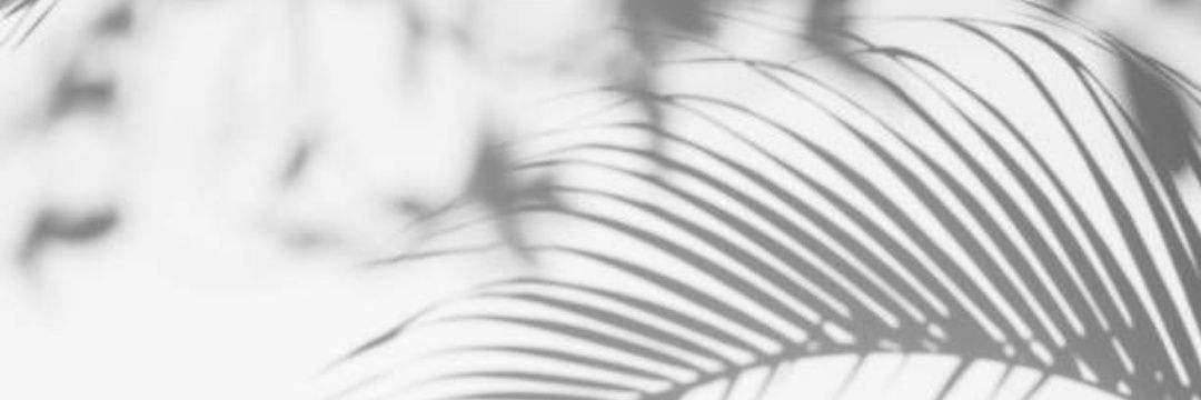CataSella's profile banner image