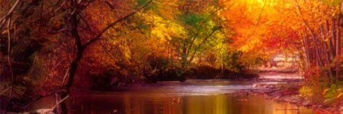 Jenny with a Y banner