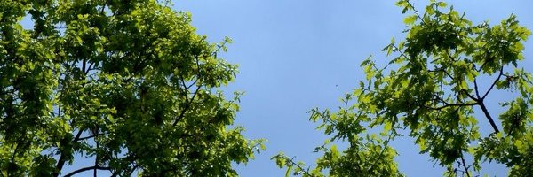 sQuchang Profile Banner