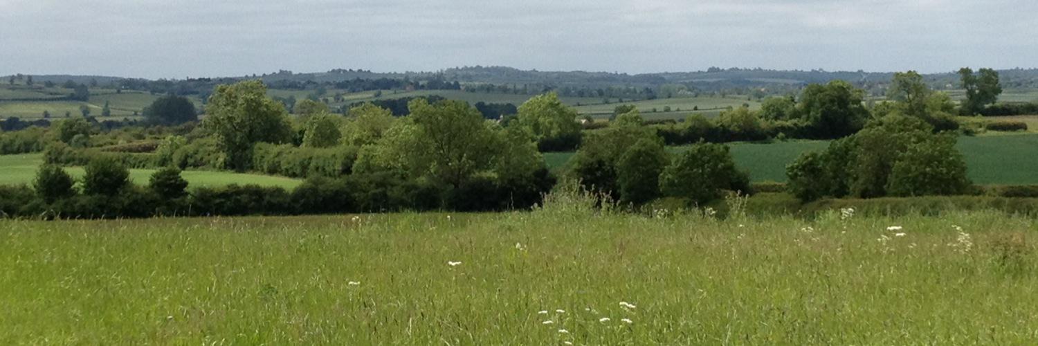lou_iseduffin's profile banner image