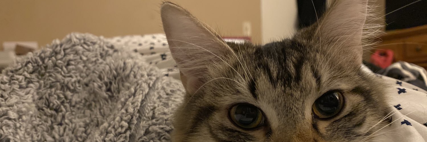 shelbs1332's profile banner image