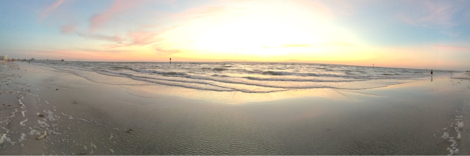 allymccoshen's profile banner image