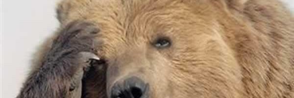 RevaLoz's profile banner image