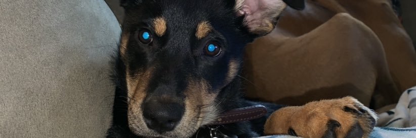AddieTalane_'s profile banner image