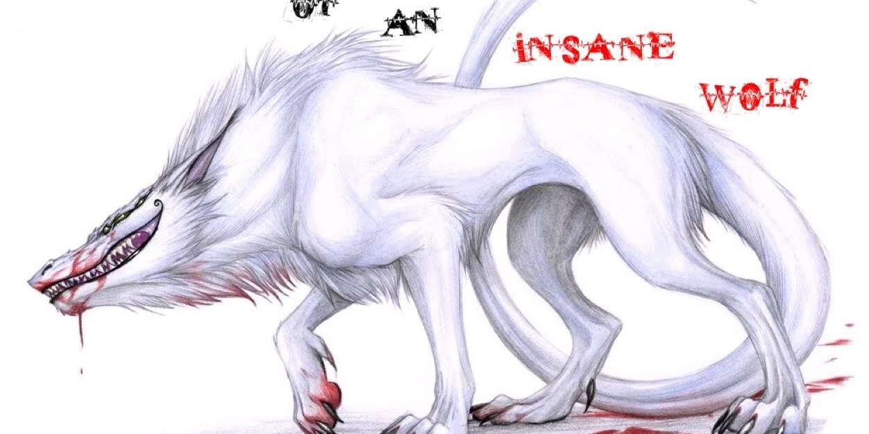 SmileWolf22's profile banner image