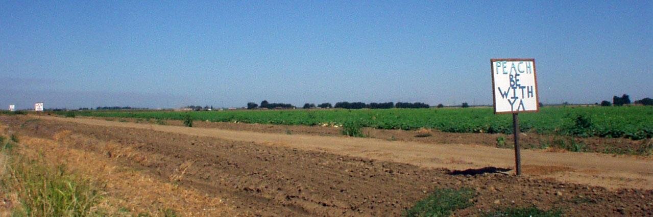 Karen Twelves banner