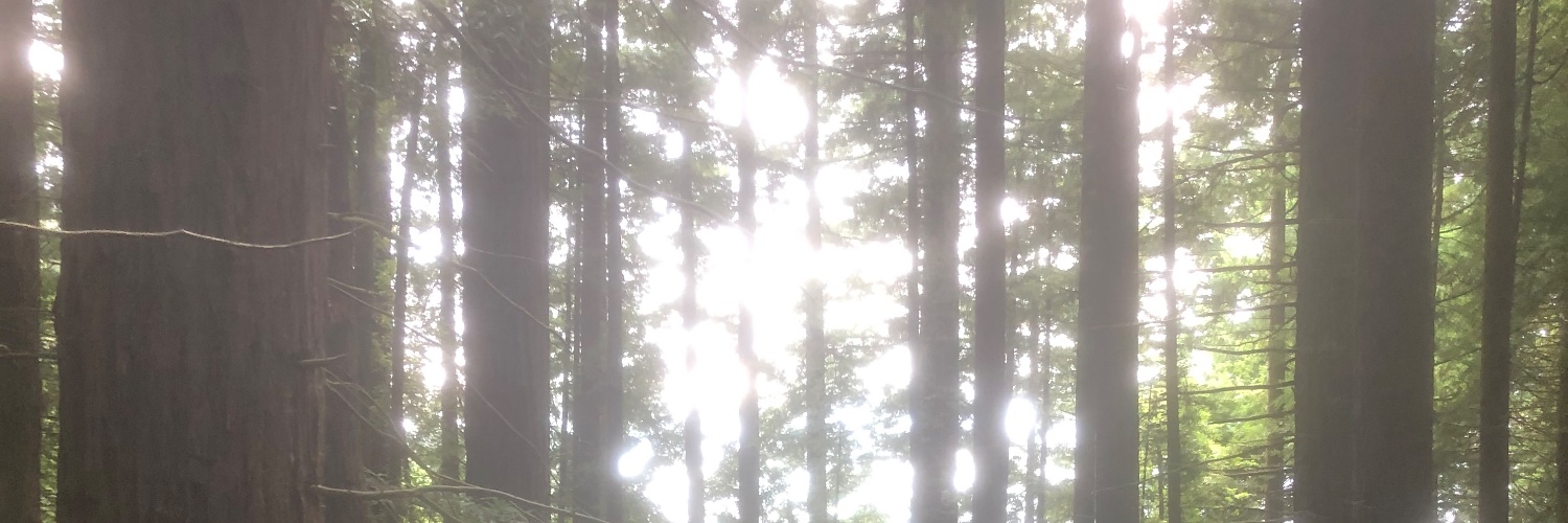 JMG_DM's profile banner image