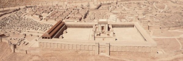 piopiotwit Profile Banner