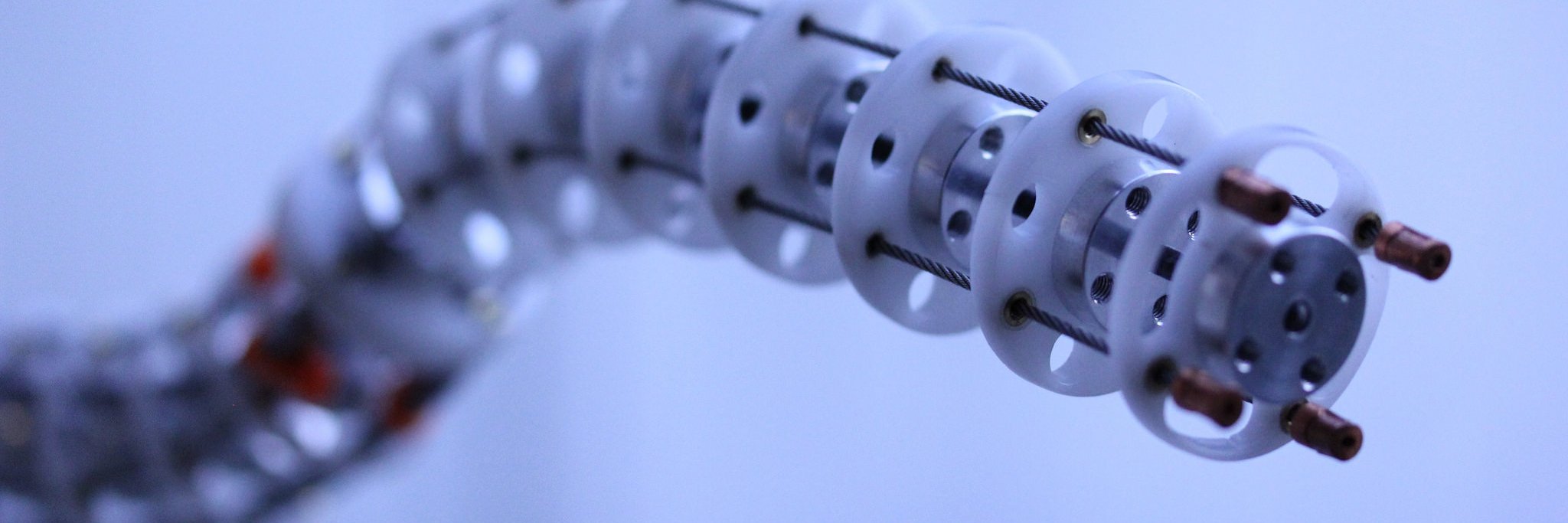 Sonya Vasquez banner