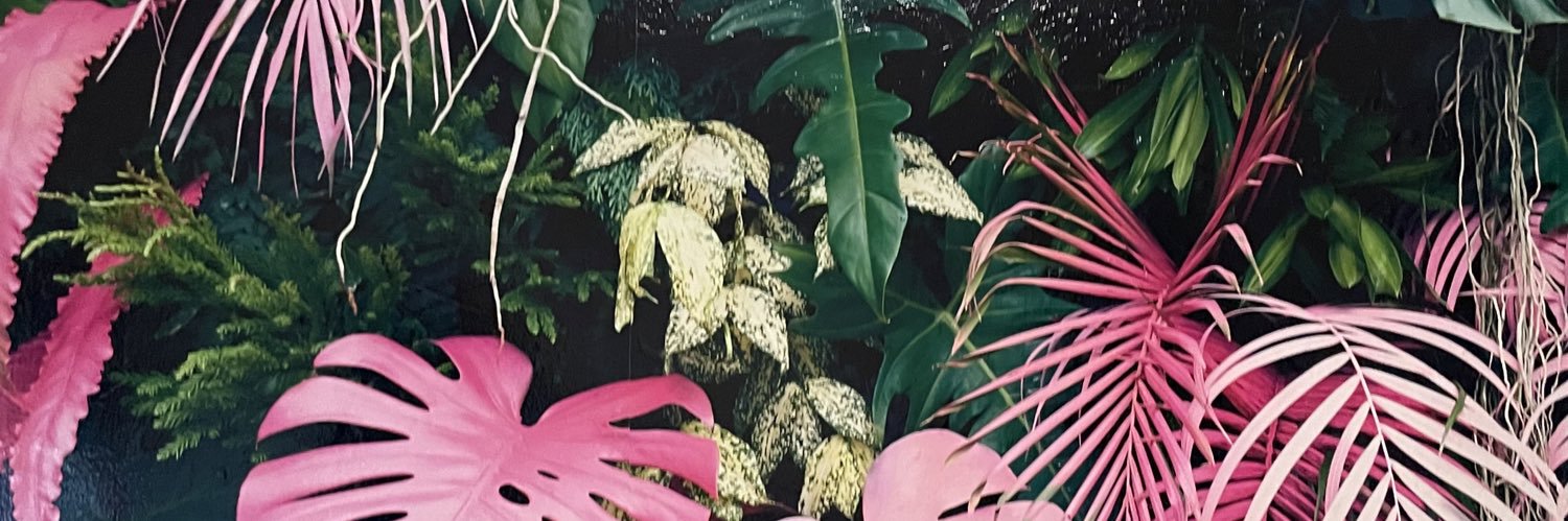 ARozay1215's profile banner image