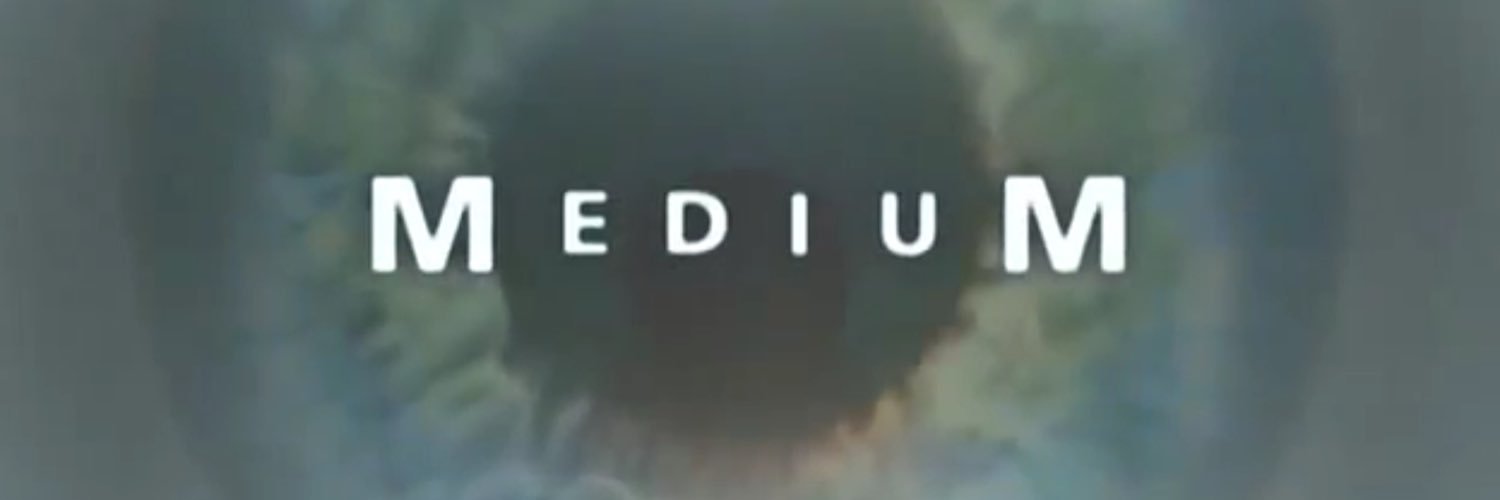 aysekulakoglu's profile banner image