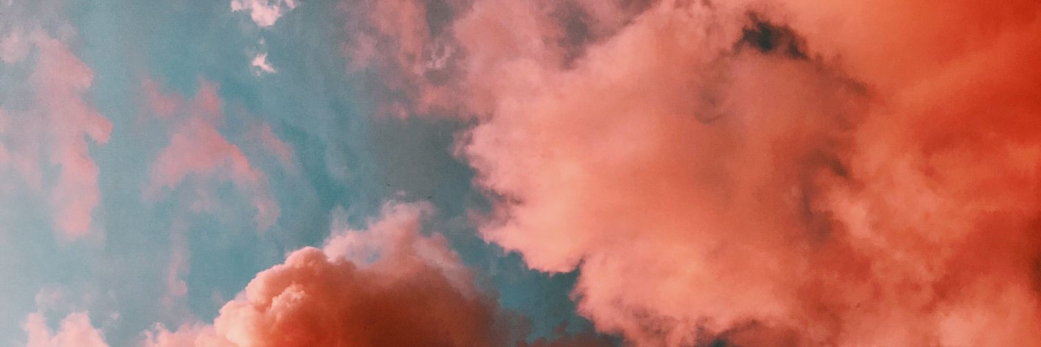 willgarnz's profile banner image