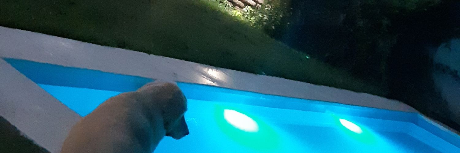 stsilvio's profile banner image