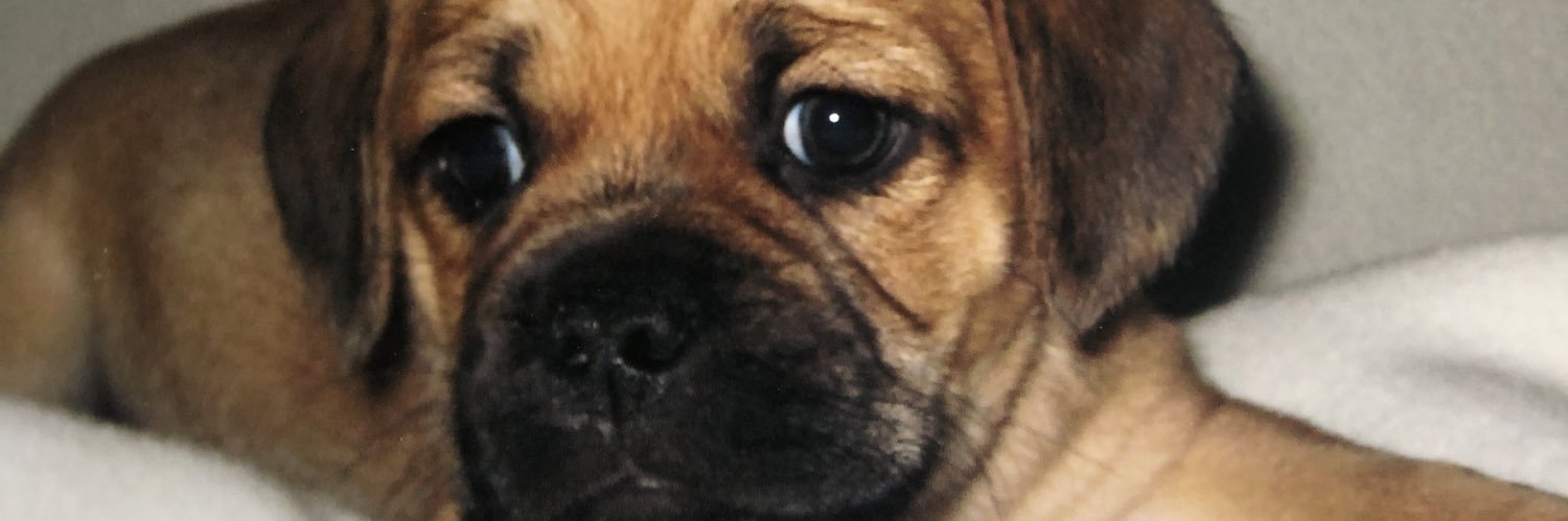 Mini_Domo's profile banner image