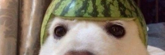 Soren Patatas banner