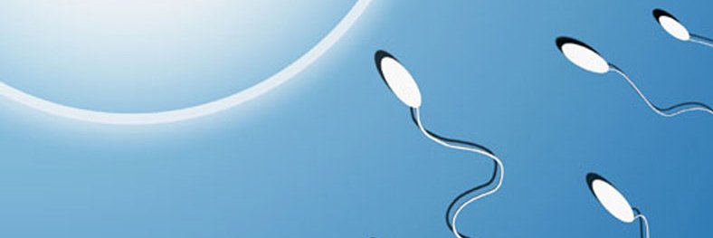 mariacrisquez's profile banner image