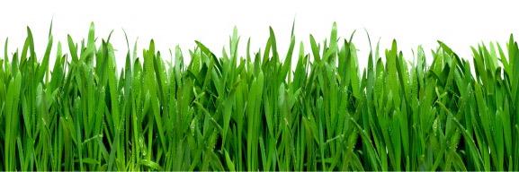 PranaON's profile banner image