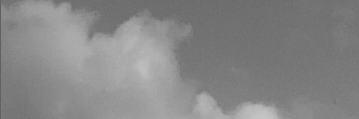 Darya R banner