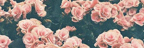 eclady18's profile banner image