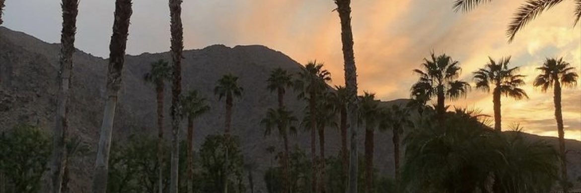 monicagiger88's profile banner image